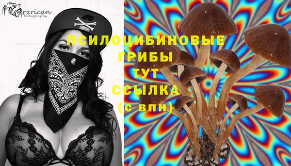 МДМА Снежинск